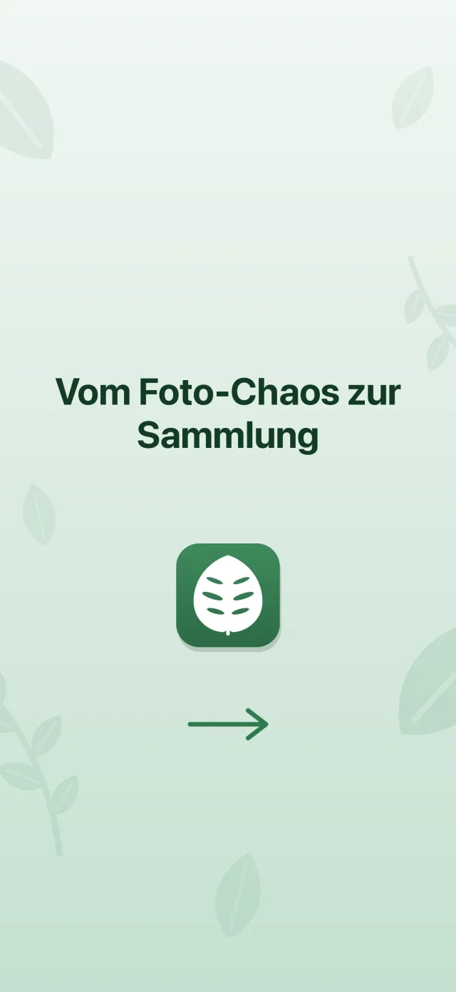 Vom Foto-Chaos zur Sammlung