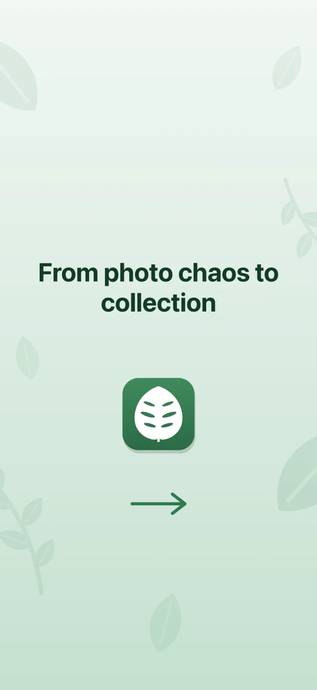 From photo chaos to collection